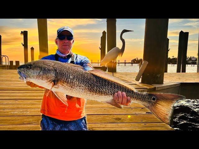 Fishing for Redfish | Try this rig and bait!