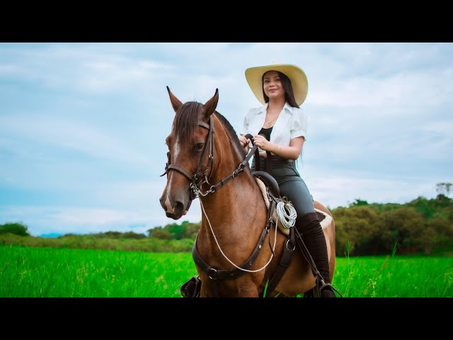 💘 TE AMARE, VIDEO OFICIAL - BAJO CERO ORQUESTA - CUMBIA ROMANTICA - LA MEJOR CUMBIA PARA DEDICAR.