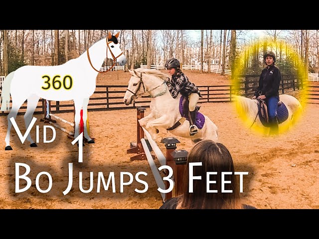 360: Natalie Eq | Bo Jumps 3 Feet! | #1