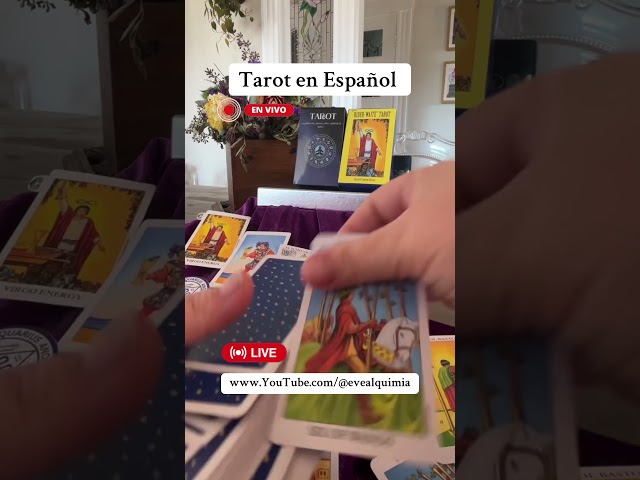 Tarot en Español #alchemizedheartsandtarot #evealquimia #tarot #amor #tiradadecartas #bilíngue #love