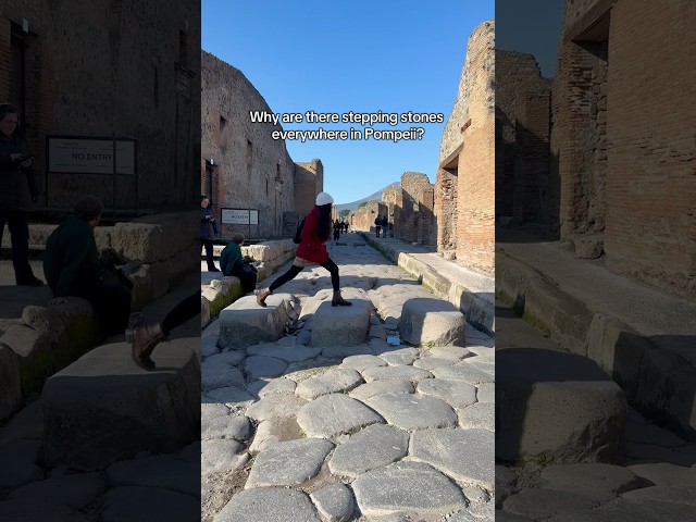 The smell must have been something #history #pompeii #rome