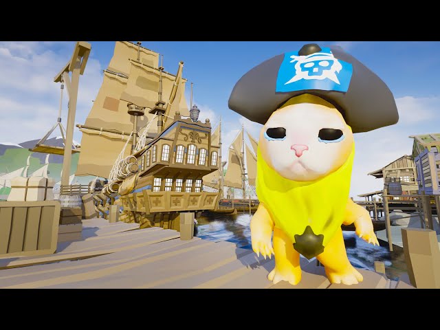 Happy Cat But It's VR/360 Degree Video 4K