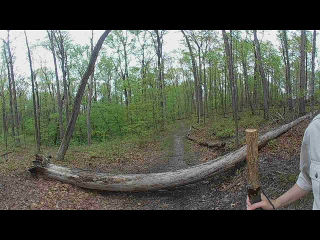 A VR Hike in Folly Lick Park