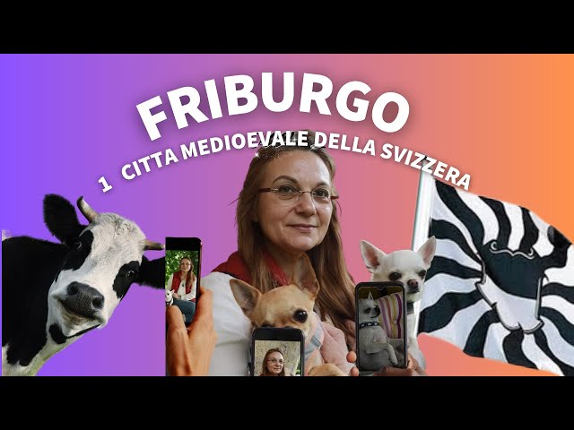 In giro per Friburgo una delle piu grandi città  medioevale della Svizzera 🇨🇭