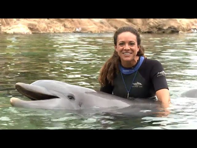 Discovery Cove Celebrates Families this Mother’s Day