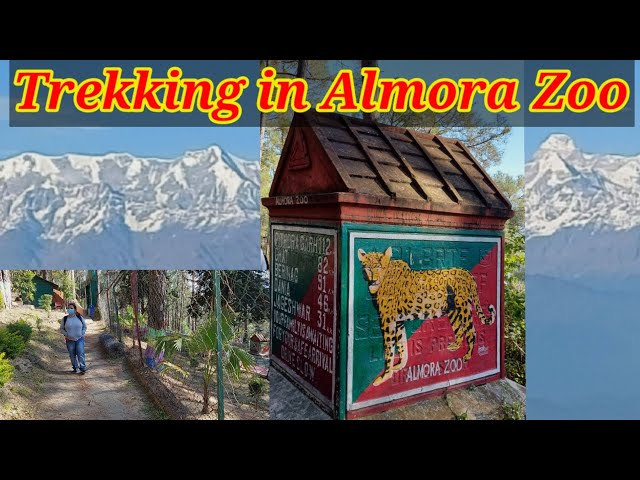 Almora Zoo | Trekking in Almora wildlife sanctuary | Man-eating leopard | snow covered Himalayas |