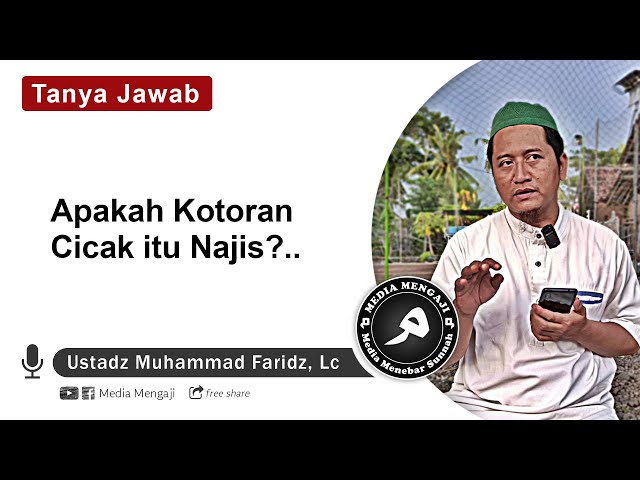 Apakah Kotoran Cicak itu Najis?..