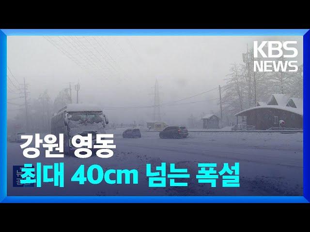 강원 영동 최대 40cm 넘는 폭설…한파까지 / KBS  2024.01.22.