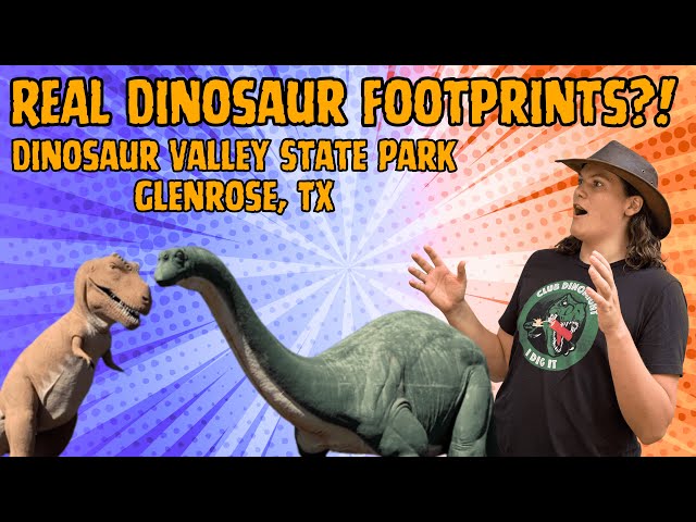 This Texas State Park Has REAL Dinosaur Footprints?! 🦖🌎 (Dinosaur Valley State Park) Glenrose, TX