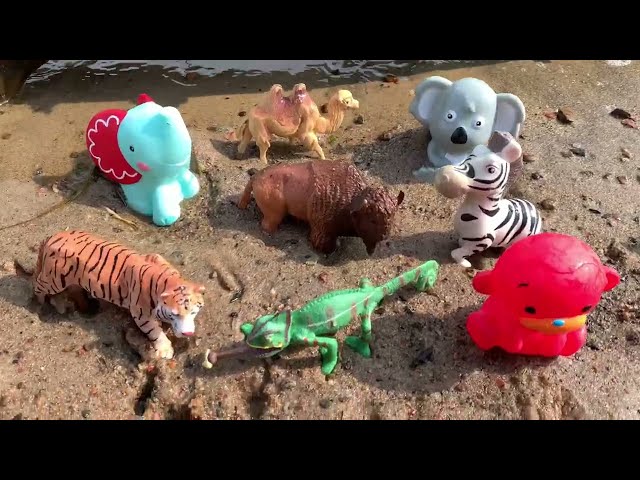 The Wonders of Wild Animal Toys: Amazing Facts for Kids