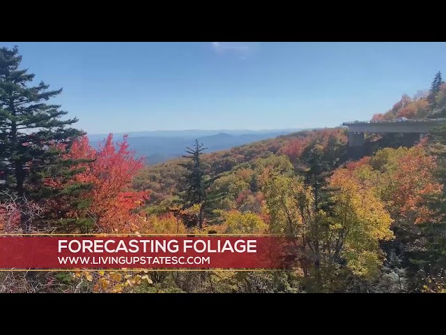 Fall Color Guy gives foliage forecast