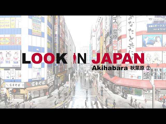 LOOK IN JAPAN / AKIHABARA 2 - Animation 3D (SketchUp 2021 & Lumion 11