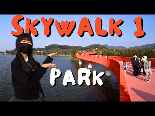 VR180 3D｜CHINA TRAVEL｜SHENZHEN｜HONGQIAO PARK（1）｜4000m red skywalk｜深圳光明｜虹桥公园（1）｜4000米空中栈桥