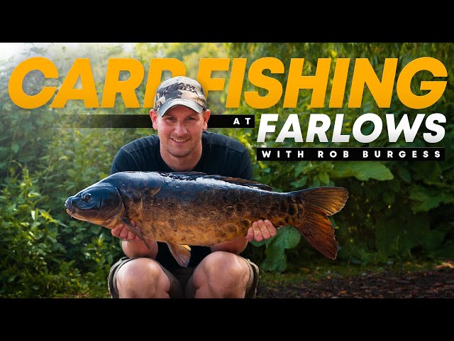 CARP FISHING at Farlows with Carp Angling Pro Rob Burgess | Carp Rigs | Mainline Baits Carp Fishing