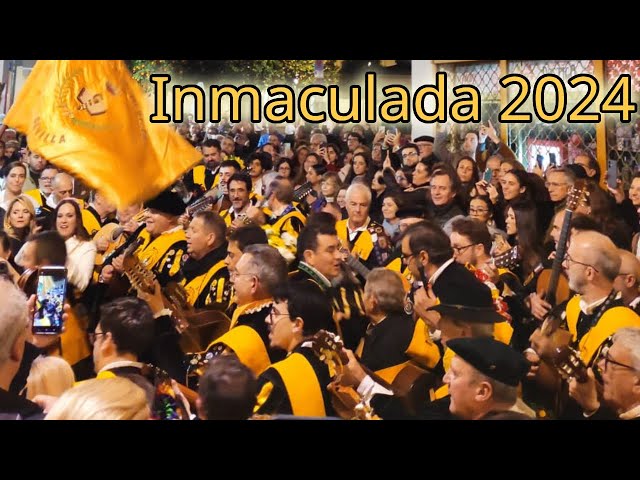 Inmaculada 2024 - Ronda en el Postigo: Fonseca | Tuna de Medicina de Sevilla | 360 grados