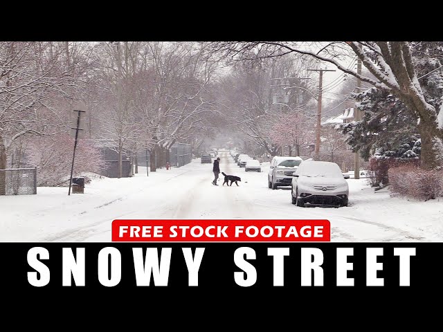 Snow Falling on Empty Street in Montreal, Canada - Free Stock Footage