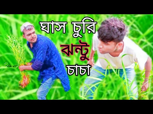 ঘাস চুরি ঝন্টু চাচা। Funny Bangla Drama।