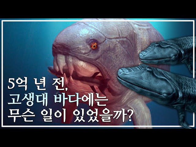 기묘한 생물들로 가득했던 고생대, 바다의 포식자는 왜 육지로 올라왔을까?ㅣ원시 사지동물 아칸토스테가의 탄생ㅣ다큐프라임 - 생명, 40억 년의 비밀│#골라듄다큐