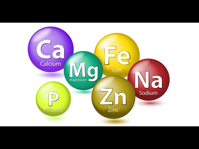 Top 10 Minerals with their importance | K N Sharma |