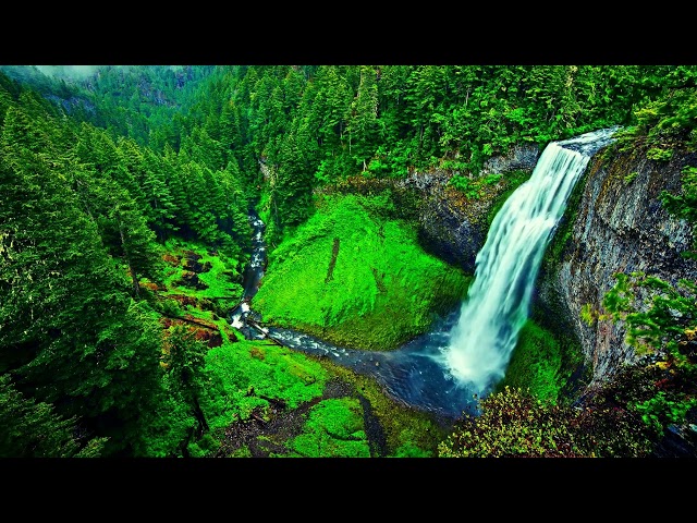 CALMING WATERFALL ~ REJUVENATE| QUITE SPACE| RESTFUL NIGHT HEALING #water  #nature #waterfulsounds