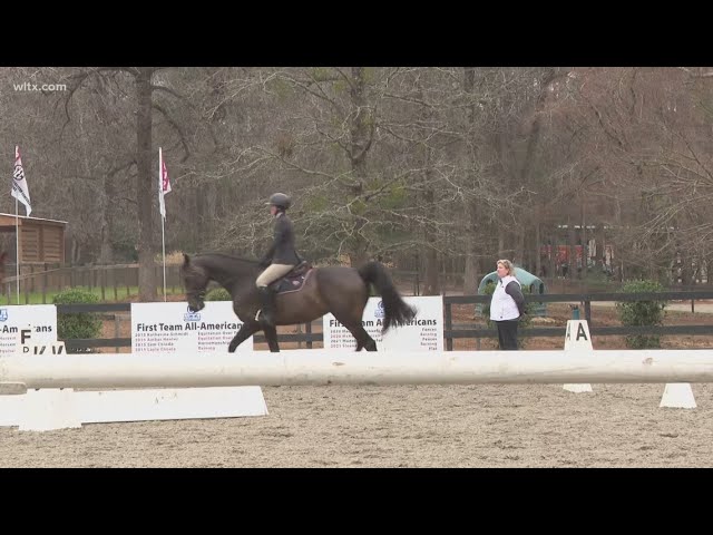 #8 South Carolina Equestrian Team defeats #4 Texas A&M