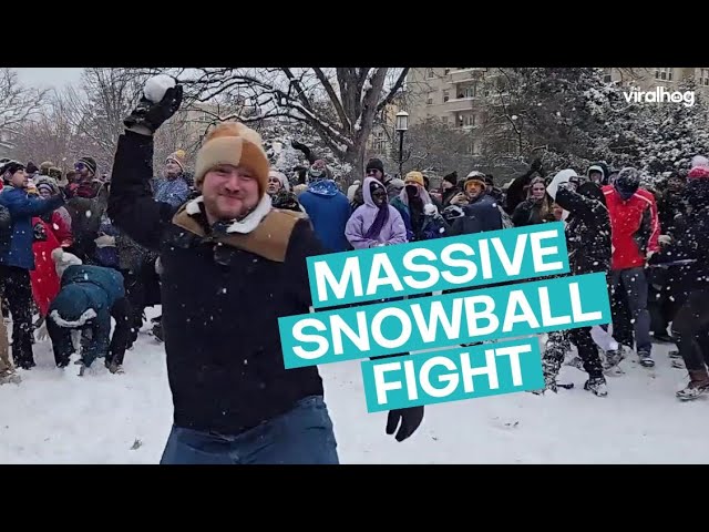 Washington's Massive Snowball Fight || ViralHog