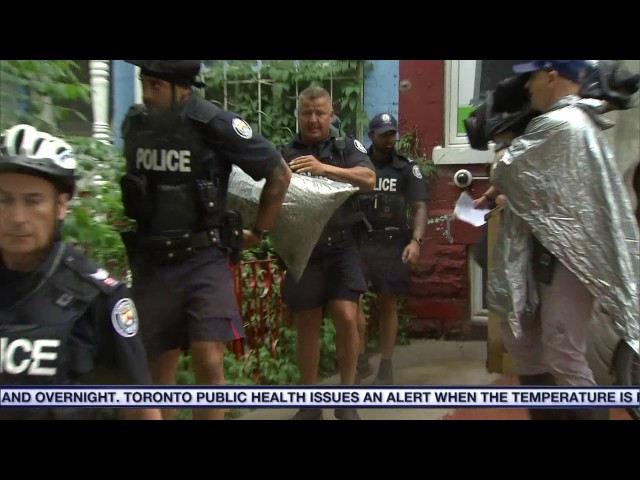 Video: Cannabis Culture location reopens after raid