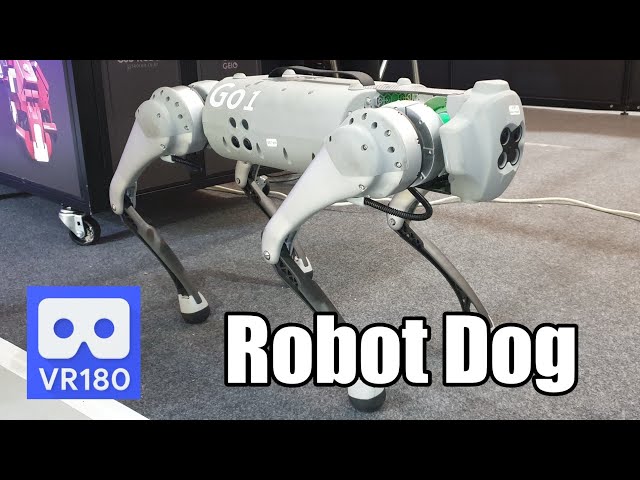 3D 180VR 4K Unitree Go1 PRO Robot Dog :  DG robotics