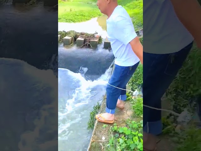 amazing village vloge fishing video #vloge #vlog #fishing #instagram