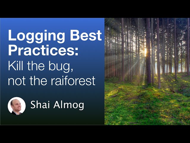 Logging Best Practices: Kill the bug, not the rainforest | debug agent