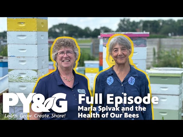 Marla Spivak and the Health of Our Bees | FULL EPISODE | Prairie Yard & Garden 3802