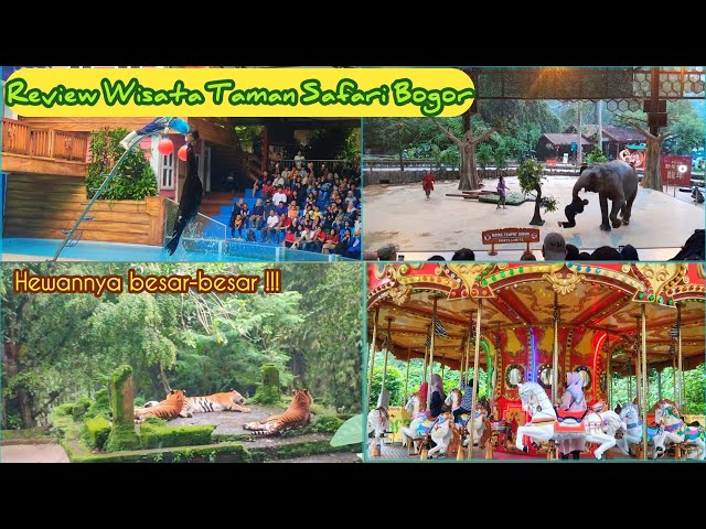 Review Terbaru Taman Safari Bogor | Seruu Banget .. Gak Nyesel Pergi Kesini Malah Pengen Balik Lagi