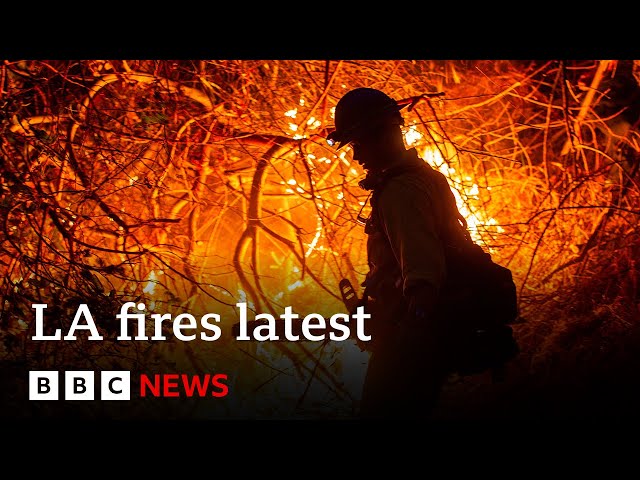 LA fires could 'take off' again, fire chief warns, with high winds expected | BBC News