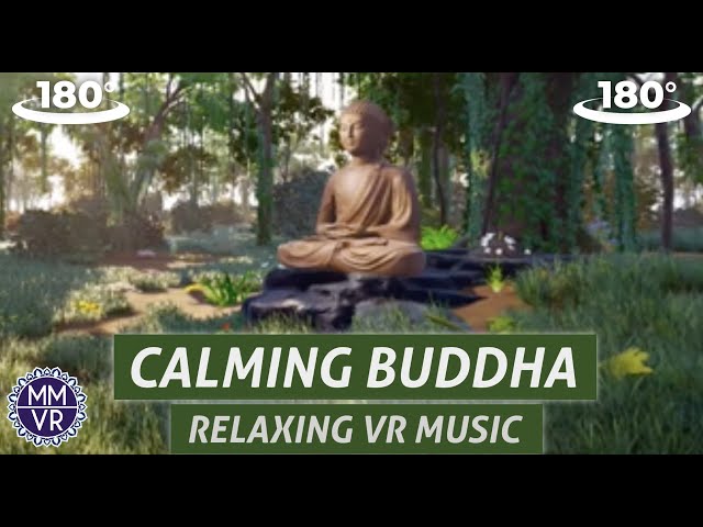 Relaxing Zen music in 180 VR: The Bodhi Tree - Meditation music for Oculus Quest