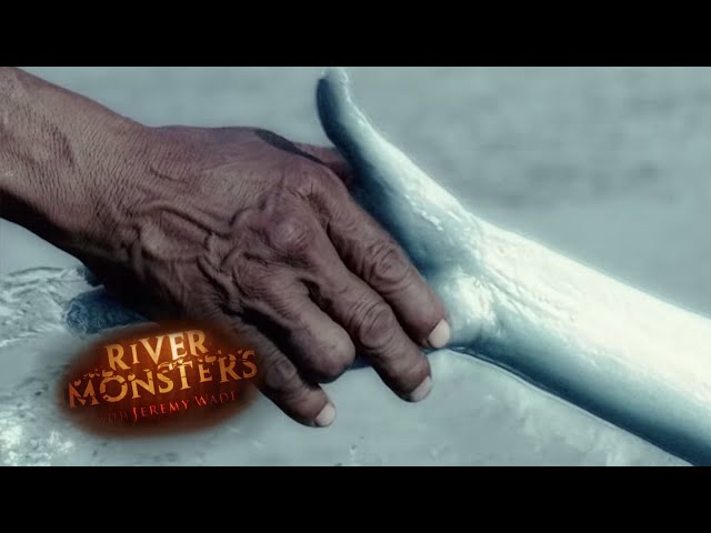 Dragged To Death By a Mermaid | HORROR STORY | River Monsters