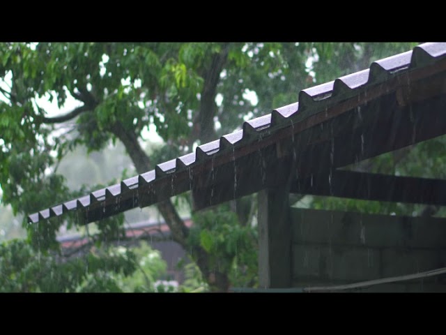 SOM DE CHUVA  6 minutos PARA RELAXAR E DORMIR GOSTOSO 2021