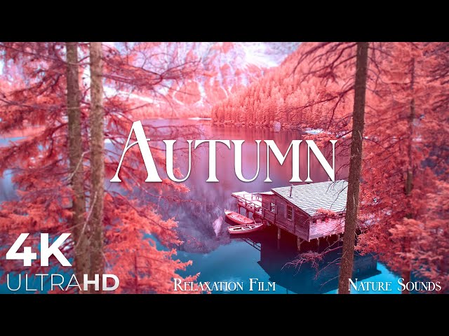 Autumn Melodies - Relaxation Film 4K - Peaceful Relaxing Music - Nature 4k Video UltraHD