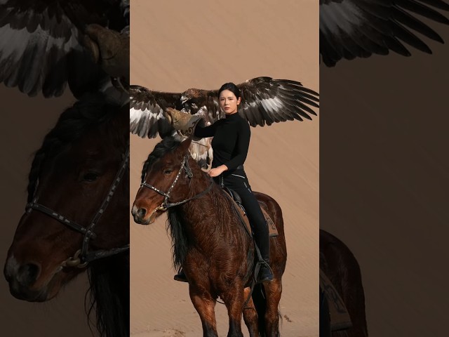 Lady with eagle #eagles #eagle #horse #niche #shorts #shortsvideo #niche