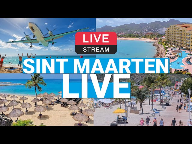 Sint Maarten Beach Cams Live Stream January 12 🌴☀️