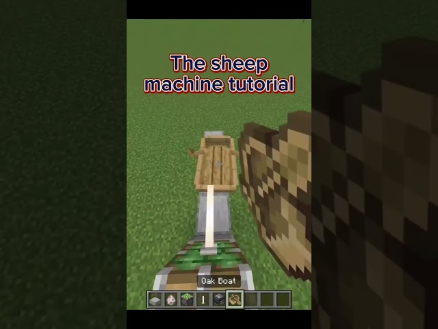 The sheep machine