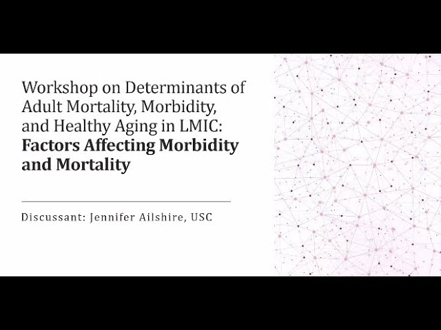 LMIC Discussion:  Factors Affecting Mortality and Morbidity 2