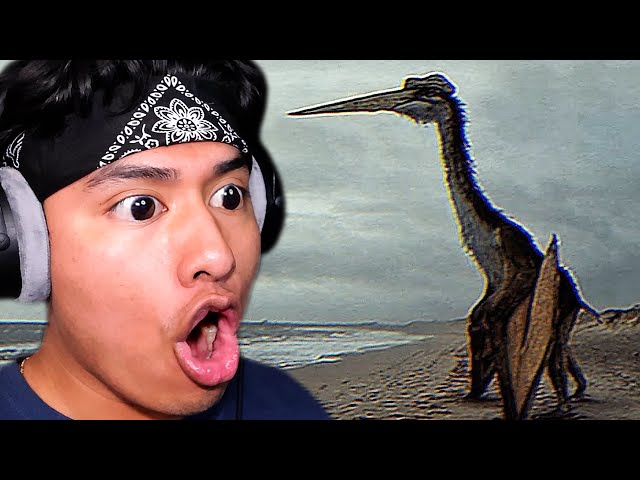 PREHISTORIC BIRDS CAN SWALLOW ME WHOLE!!! | Prehistoric Analog Horror