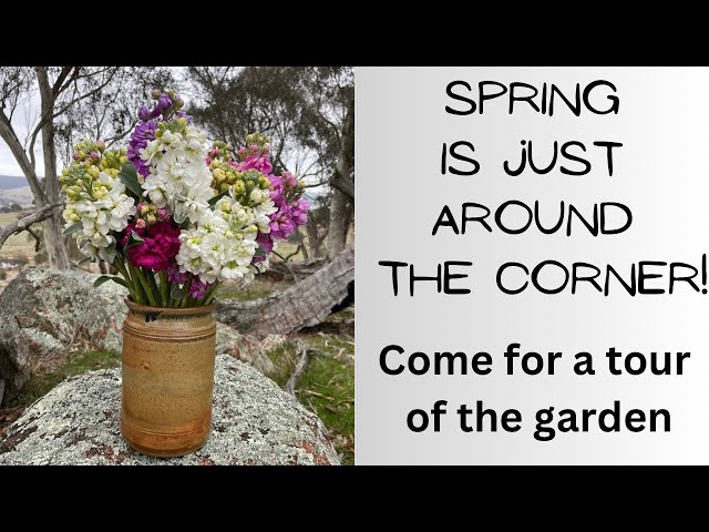 It’s nearly Spring!  Join me for a tour of the cut flower patch.