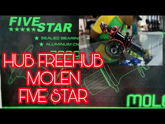 Tes suara Hub Freehub MOLEN FIVE STAR ⭐⭐⭐⭐⭐ (Tawon Ngamuk)