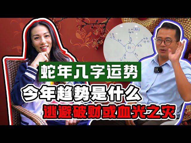 【2025年八字运势】金木水火土哪个在今年会是最好的呢？！金今年桃花运和财运都极旺！｜Alicia通灵师 FT. Rsooigor