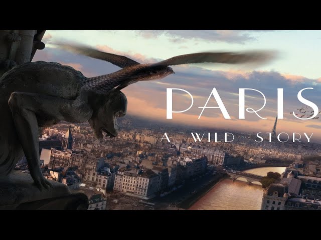 Paris: A Wild Story | Available Now