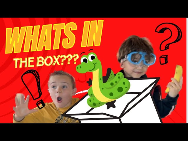 Kids vs. Mystery Box: Blindfolded Guessing Game!”🤪