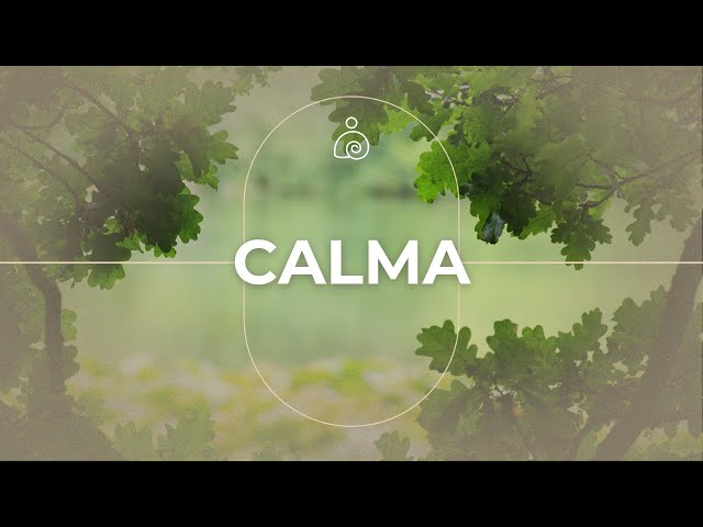 C A L M A 🌿 La música calmante restaura el sistema nervioso🙌