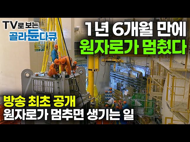 국내 전력 생산량의 32.5%를 담당하는 원자력 발전소가 멈췄다! 10년에 1번. 직원들도 보기 힘든 원자로가 멈춘 날｜원자력 발전소 사람들｜극한직업｜#골라듄다큐