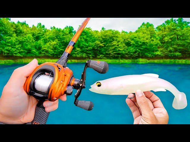 Fishing a BIG Swimbait for MONSTER Fish!